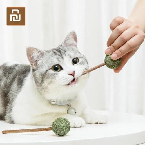 Youpin Cat Molar Toothpaste Stick Catnip Mutian Stick Catnip Lollipop Natural Healthy Cat Snacks Sticks For Cats Kittens Pussy