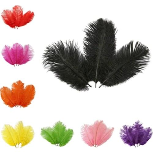 Beautiful 10pcs/lot ostrich feathers 25-30cm DIY feathers for craft wedding party supplies Carnival dancer decoration plumages