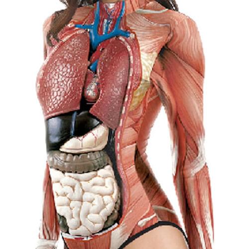 Womens Swimsuit Skeleton Human Organs Printing Novelty Weird Costume Cosplay Props SAL99