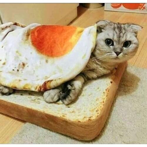 Creative Omelette pet Blankets Puppy Cat Short Plush Pet Mat Durable Warm Poached Eggs Blanket Mats For Small dog and Cat