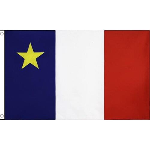 Free shipping xvggdg Arcadia Flag Polyester banner flag