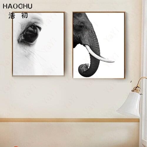 HAOCHU Nordic Simple Modern Black And White Elephant Nose Animal Eye Environment Natural Ecology Home Decoration Canvas Painting