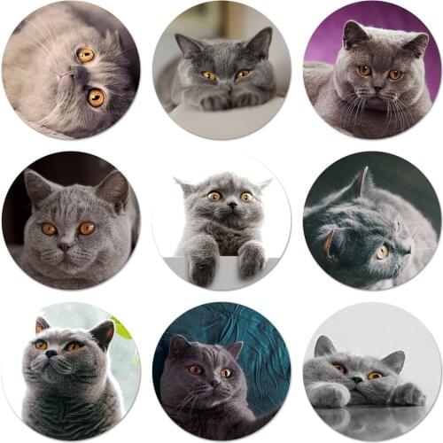 British Shorthair Cat Icons Pins Badge Decoration Brooches Metal Badges For Backpack Decoration 58mm