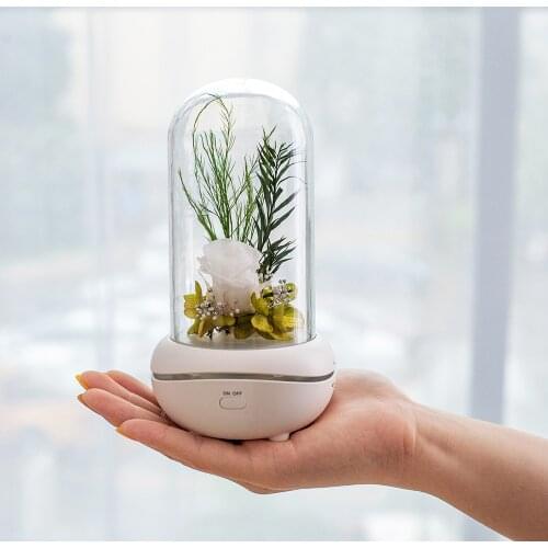 Red Rose Aroma de light blue mujer ice aroma night light with dimmer switch ambientador hogar enchufe emergency light