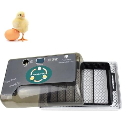 Digital Egg Incubator Automatic Egg Hatcher Automatic Turning 12 Eggs Chicken Birds Quail Brooder Egg Incubator