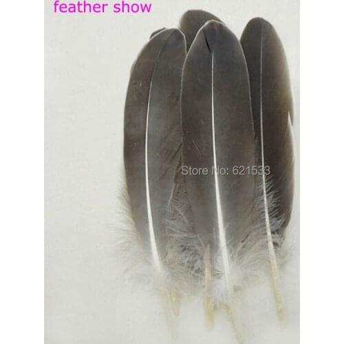 200Pcs/LOT!15-20cm Beautiful Goose Feathers -Stiff Feathers -Craft Feathers - "smokey brown"/smokey grey"Colour