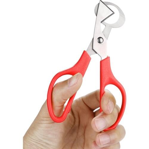 25# Quail Egg Scissors Cracker Can Opener Cigar Cutter Durable Kitchen Scissors Multifunctional shears Stainless Steel Tools
