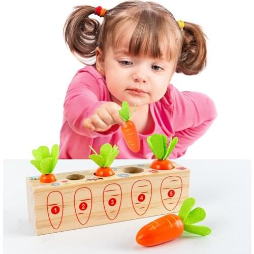 Wooden Sensory Toys Baby Touch Training Digital Pull Radish Memory Game Montessori Early Learning Aids Educational Toddler Gifts