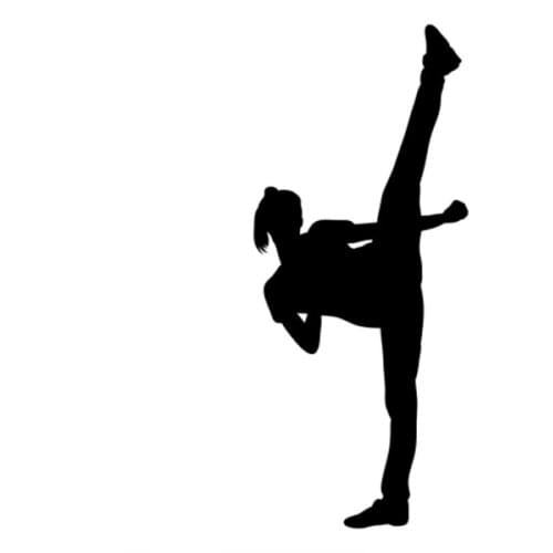 Chinese Kung Fu Master Legend Karate Taekwondo Sign Decal Vinyl Stickers Wall Truck SUV Car Window Bumper CL359