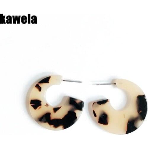Texture New Sweet Tortoise Cute Resin Earring Acetic Acid