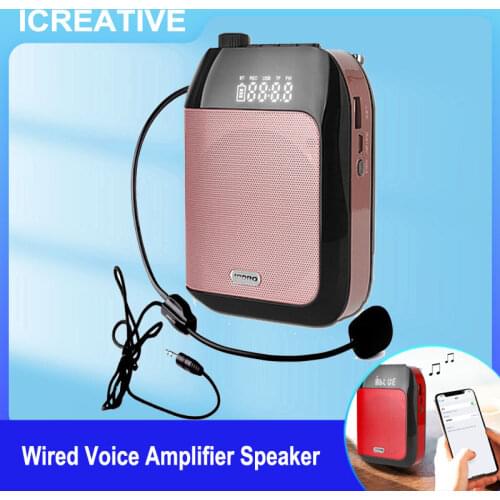 Easter eggs Portable Audio Equipment