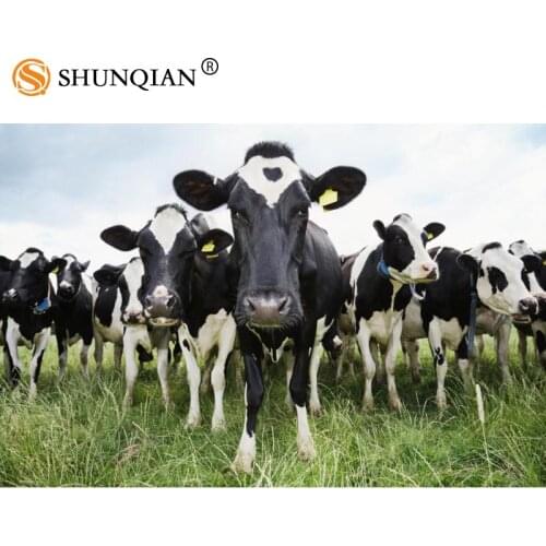 Animal Cow Canvas Poster Home Decor Custom Cloth Posters 20X30cm,27X40cm,30X45cm Best Gift DIY Fabric Posters