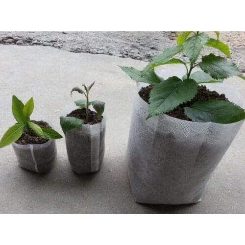 100pcs/lot Biodegradable Seed Nursery Bags Nursery Flower Pots Vegetable Transplant Breeding Pots Garden Planting Nursery Plant
