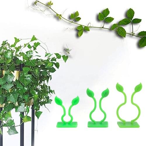 100PCS Plant Climbing Wall Fixer Clip Self-Adhesive Vine Clamp Hook Garden Flower Rattan Fixed Buckle Plant Growth Supports