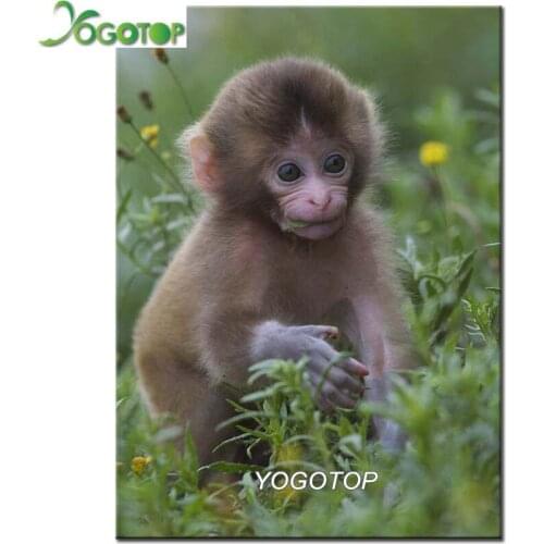 Diamond embroidery Monkey Cute Babies Animals diamond painting full diamond picture of rhinestones mosaic cross-stitch YY2492