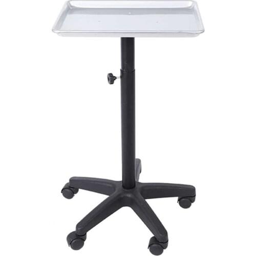 Aluminium Hair Salon Instrument Tray Adjustable Height Trolley Beauty Tools no Hair Dryer Cup 45 x 33 x 65cm Barbershop Supplies