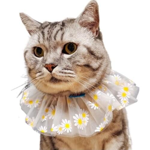 Pet scarf cat saliva scarf Bib triangle scarf small dog and cat neck cover cats dog pets accessories Flower fashion