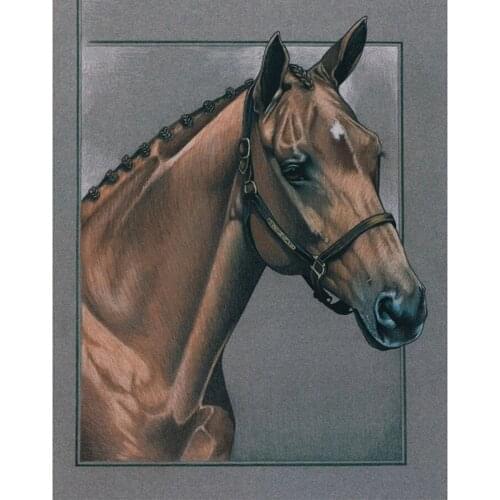 Canvas Size 5D Diy Diamond Painting Cross Stitch Kit Diamond Mosaic Embroidery " Animal " Painting Square/Round Drill Gift