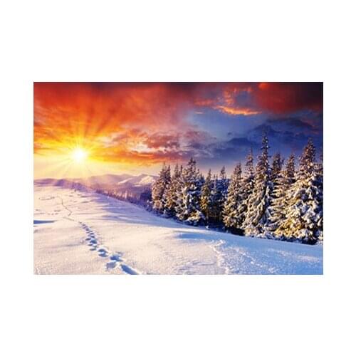 A15441 11CT/14CT/18CT/25CT/28CT night snowing patterns Counted Cross Stitch DIY Cross Stitch Kits Embroidery Needlework Sets