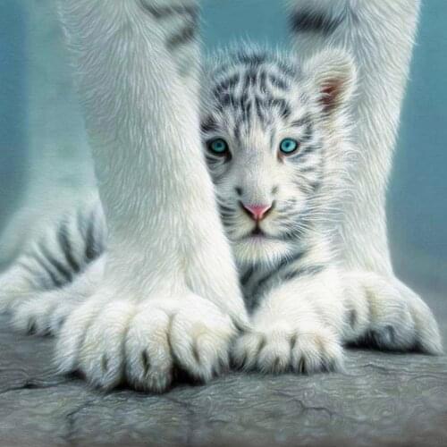 Diamond Painting Full Square Drill 5D DIY White Tiger Animal Round Daimond Painting Embroidery Cross Stitch Mosaic Rhinestone