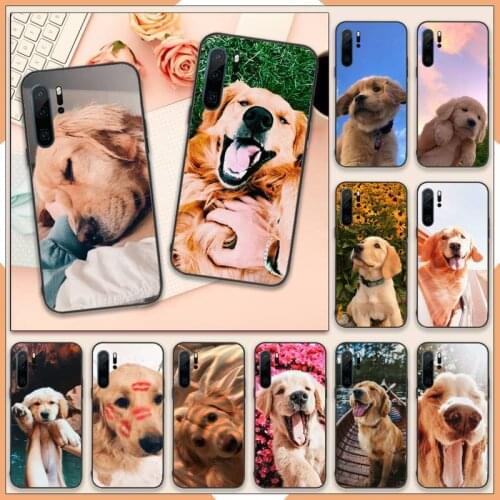 Cute golden retriever dog Phone Case For Huawei P40 P20 P30 lite Pro P Smart 2019 Mate 40 20 10 Lite Pro Nova 5t