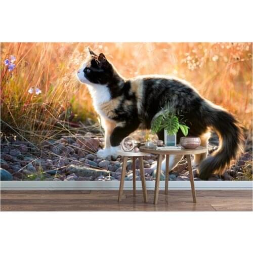 Custom mural on the wall 3d photo wallpaper Garden cute cat animal living room home decor wallpaper for walls 3 d in rolls