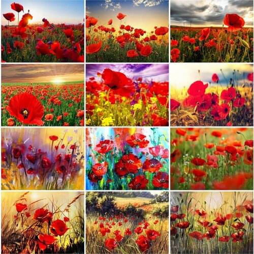 HUACAN DIY Diamond Painting 5D Poppy Flower Full Square Diamond Embroidery Landscape Home Decor Gift