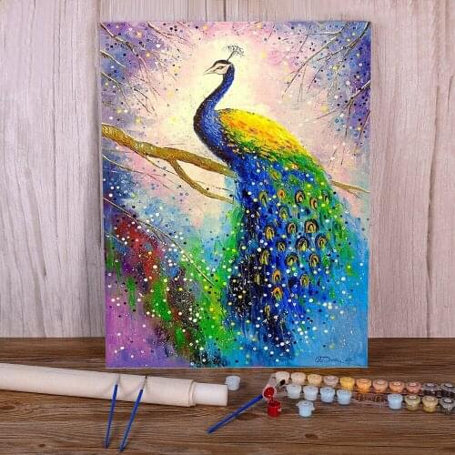 Animal Peacock Painting By Numbers Set Acrylic Paints 50*70 Canvas Pictures Decorative Paintings Kids Drawing