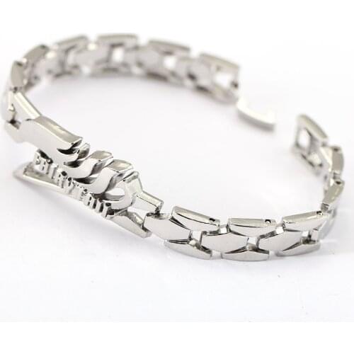 Charm Bracelets Fairy Tail Stainless Steel Bracelet Jewelry Silver Color Luxury Accessory