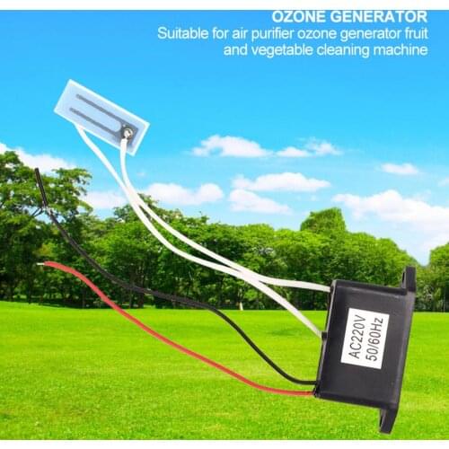 DC12V Ozone Generator DIY Air Purifier Deodorant Fruit Vegetable Cleaning Tool (AC220V-240V 200mg)