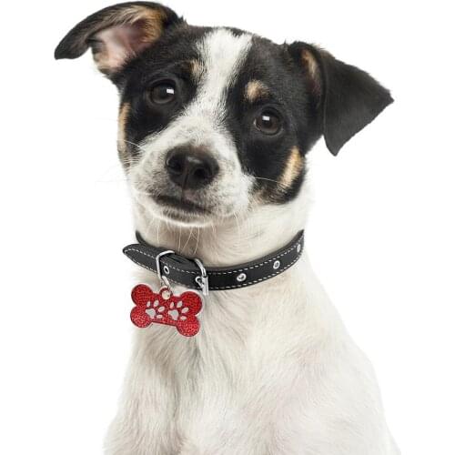 Pet Dog Cats Puppy Engraved ID Name Bone Shape Collar Tags Plate Pendant Decor