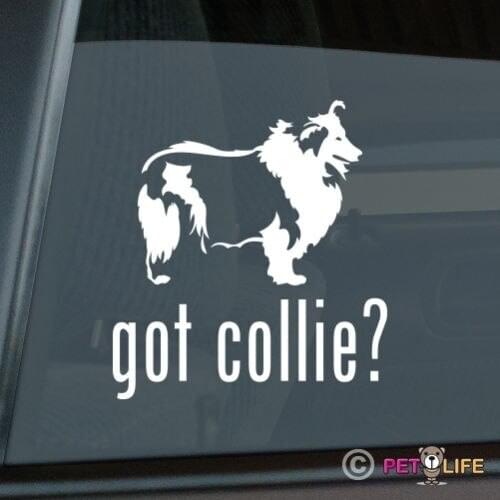 Got Collie Sticker Die Cut Vinyl window decal