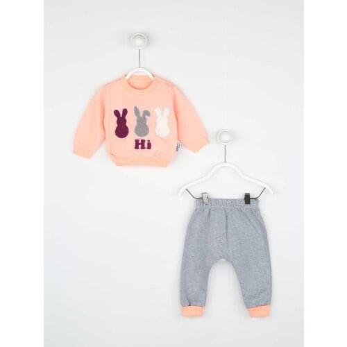 Powder Pink Baby Girl Rabbit Vetch 2 Piece Set Tracksuit Bottom Wear Top Outfit Cotton Casual Casual Outfit Models