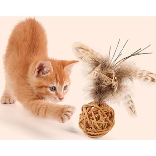 Pet Dog Cat Feather Toys Rattan Catnip Ball Toy Stuffed Toys Cat Treat Chew Toys Rotated Wall Pet Products For Cats Accessories