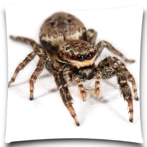 The spider/butterfly Pillow Case Cotton polyester Cushion Cover Vintage Chair Sofa Home Decorative Throw Pillow Cover