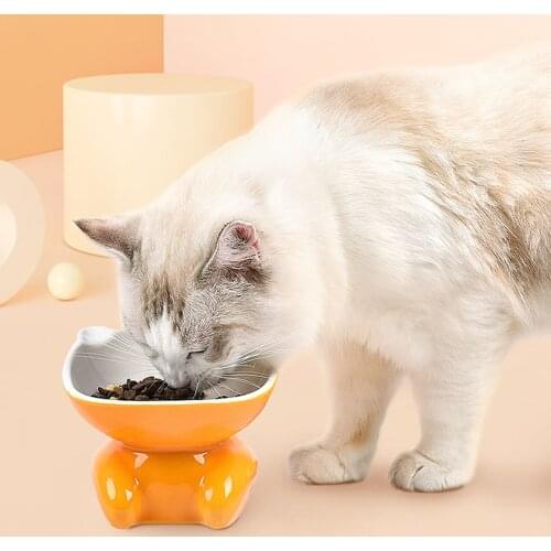 Cat Double Bowl Cat Bowl Dog Bowl Non-slip Food Bowl With Raised Stand Cat Feeding & Watering Supplies Dog Feeder Pet Supplies