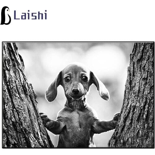 5D Diy Diamond Painting Black and white animal art, cute dog Full Round Square Drill Mosaic Wall Art Picture Home Decoration