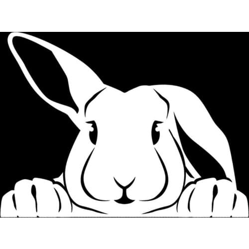 Dawasaru Peeking Bunny Cute Rabbit Car Sticker Waterproof Decal Laptop Motorcycle Auto Accessories Decoration PVC,15mc*11cm