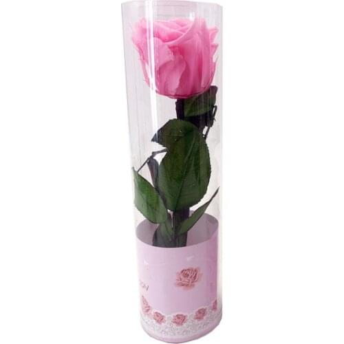 Romantic Preserved Forever Rose Flower Long Stem in Box Valentine�s Day Gift