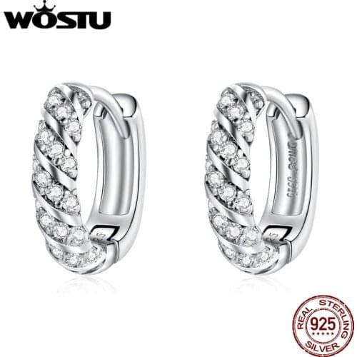 WOSTU 925 Sterling Silver Cute koala Stud Earrings Simple Ear Buckles Circle Earrings For Women Fine Silver Jewelry FNE512