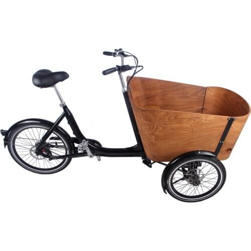 3 wheels Cargo Tricycle in Heavy Loading Pedal Electric Bicycle Bike for Carrying Kids Mobile Shopping Cart