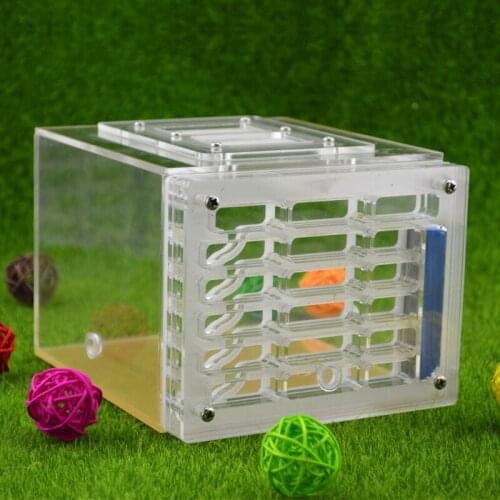 Large Ant Farm Acrylic Moisturizing Ant Nest Pet Breeding Ants Farm House Reptile Terrarium