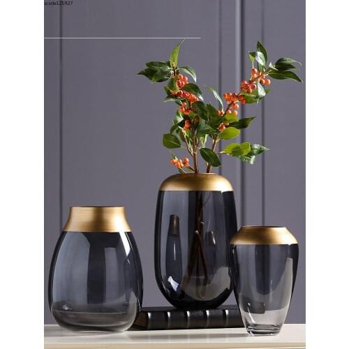 American Luxury Gold-plated Glass Vase Flower Arrangement Hydroponic Vase Living Room Furnishings Potted Flower Pot Table Decor