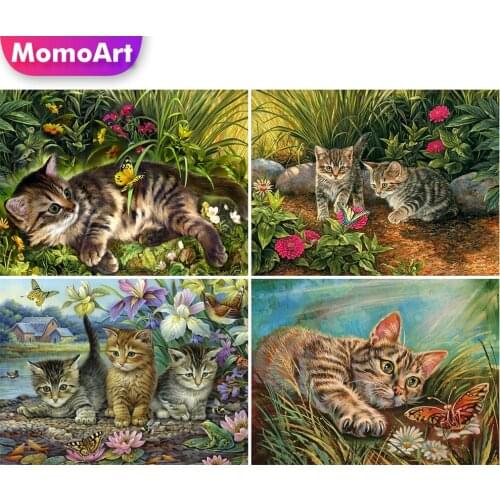 MomoArt Diamond Painting Flower Diamond Embroidery Cat Full Drill Square Mosaic Animal Picture Rhinestone Butterfly Home Decor