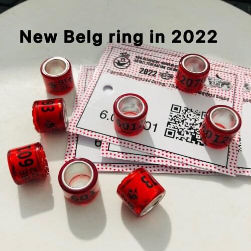 2021 BELG Pigeon rings with letters cards Bird RING 8mm 50pcs