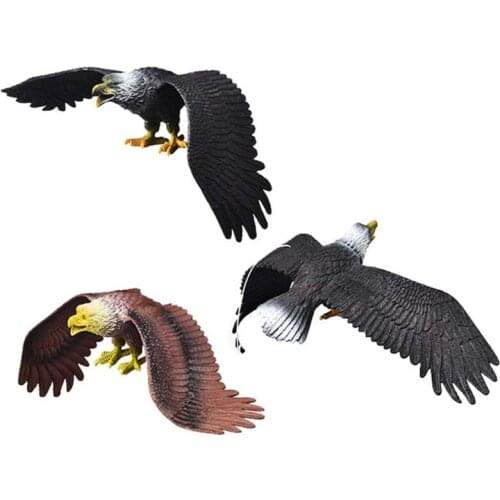 Simulation Solid Static Birds Model Ornaments Realistic Eagle Children Educational Props Scene Decoration Kids Toy J60B