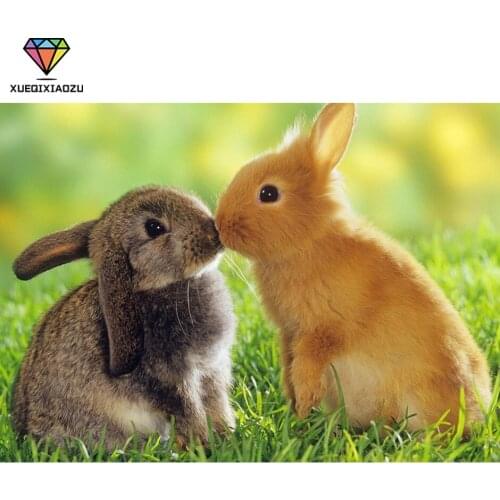 5D DIY Diamond Painting "Two Kissing Rabbits" Warm Animal Painting Full Circle Diamond Inlaid Mosaic Home Decoration Gift MAM42