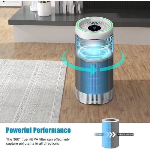 Air Filter Replacement filter for air purifier for allergic pet owners/smokers/musty environments delivery RU