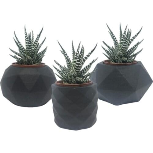 Bello Products For The Garden And Vegetable Garden