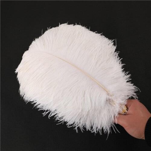 10pcs 30-35cm Dyed Ostrich Feathers Fluffy Feather for Wedding Party Home Room Decorations Nature Feathers for DIY Clothes Sew